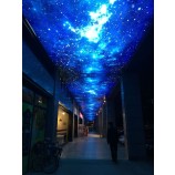Ceiling Pop Design Moulds PVC Stretch Ceiling Film Wholesale