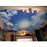 Transparent PVC Stretch Ceiling and Fabric Waterproof Ceiling Film Wholesale