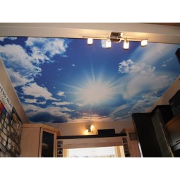 Transparent PVC Stretch Ceiling and Fabric Waterproof Ceiling Film Wholesale
