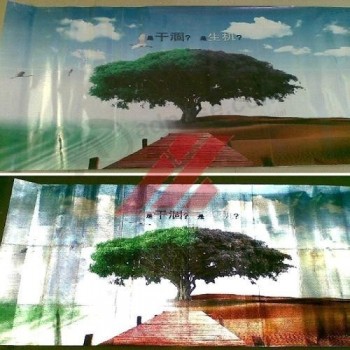 Colorful High Resolution Reflective Banner Wholesale