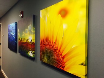 Gallery Wrap and Standard Wrap Canvas Wholesale