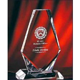 2017 Al por mAyor personAlizAdo Alto-Fin k9 cristAtrofiA cristAl (KAnsAs040439)