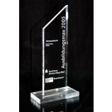 Groothandel op maat gemaakt hoog-Einde ad-176 clear champion award souvenir laser gegraveerde acryl sport trofee