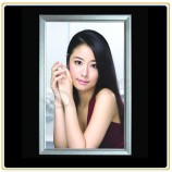도매 주문을 받아서 만들어진 최고 품질 화장품 상점 포스터 전시 구조/라이트 박스 디스플레이 (에이1)