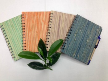 Goedkoop spiraalvormig bindend notitieboekje op maat/Pad met hardcover spiarl binding
