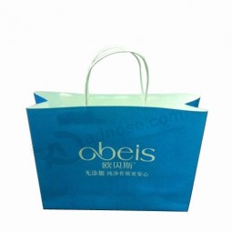 Factory Custom Printed Color Paper Gift Shopping Bag (SW402)