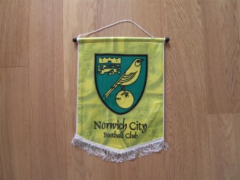 Hot selling custom logo satin pennant flag for team with your logo