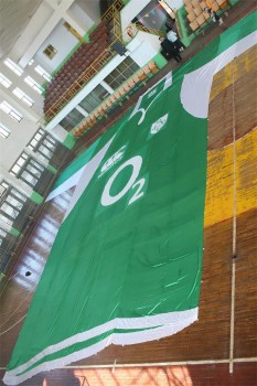 Wholesale Giant Flag for Festival/Advertisement with your logo