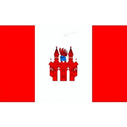 Logo personnalisé imprimé polyester sport drapeau en gros
