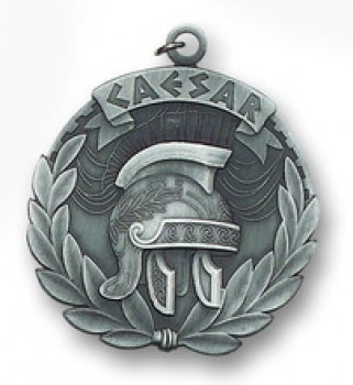 High End Custom 3D Zinc Alloy Personalized Enamel Crest Medal Wholesale