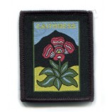 Factory direct wholesale customized top quality Black Bade and Flower Design Clothing Woven Patches