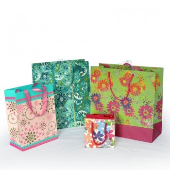Factory Custom Color Paper Shopping Gift Bag for Greeting