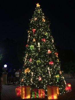 Al por mayor pre-Iluminado árbol de Navidad con adornos de decoración(MY100.008.00)