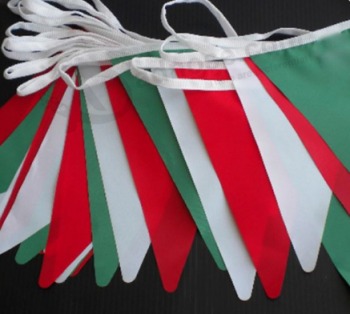 Decorative Polyester Celebration Bunting Pennant for Sale