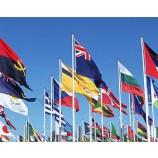 Werbe Sport Hand Banner Flagge für Werbung 