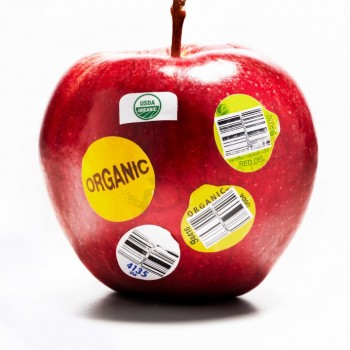 Eco-friendly self adhesive reusable fruit food sticker