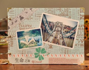New Style Retro Classical Wire Binding Water-Proofing DIY Photo Album with your logo