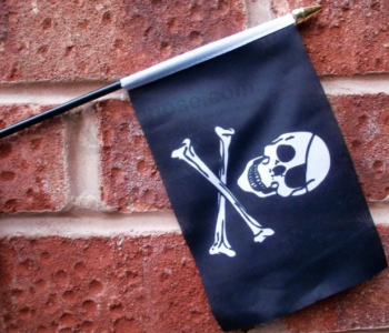 Factory Custom Made Handheld Flag Cheap Wholesale with high quality and any size