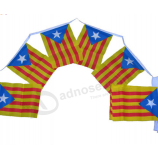 Various Size Polyester Bunting National String Flag Banner with high quality and any size