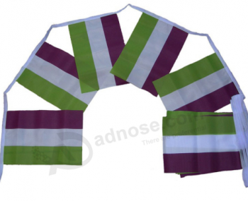 Custom Design Club Bunting Sport Team String Flags with high quality and any size