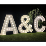 DEcoratieve metalen lampen acryl kanaal letters led module led strip