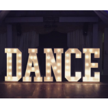 Selectiekader aangepaste grootte acryl led letters