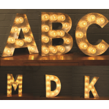 Buitenreclame geleide brief/Brief van roestvrij staal/Acryl led licht letters
