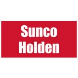 批发cuatomized最佳价格汽车挡风玻璃标志为100 x 50厘米