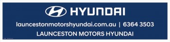 Wholesale customized hign-end car static cling with no min order with high quality and any size