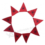 Super quality non-toxic triangle bunting flag custom with high quality and any size