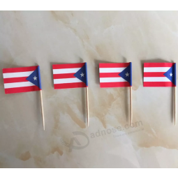Party Decorate Puerto Rico Food Flag with Toothpicks