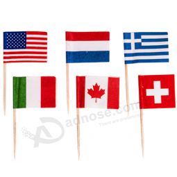 Party Celebration Food Toothpick Flag for Sale