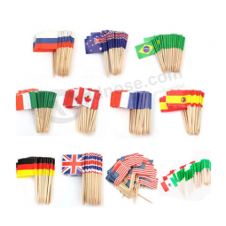 Cibo popolare stuzzicadenti carta bandiera nazionale per decorativo