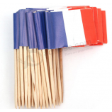 Billig Großhandel Mini Zahnstocher Frankreich Flagge für Bar