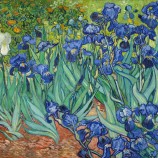 Nee, jw011, irissen, europese stilleven olieverfschilderij, zitkamer slaapkamer en eetkamer decoratieve afbeelding