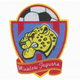 Popular design wholesale embroidered school patches
