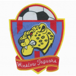 Best selling customized woven badge for clothing