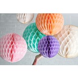 Verjaardagsfeest pompon bruiloft decoratie honingraat bal