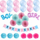 Genere di compleanno banner ragazza o ragazzo rivelare le forniture del partito