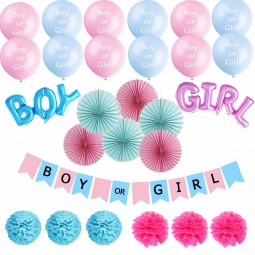Girl or Boy Banner Birthday Gender Reveal Party Supplies