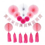 Decoraciones de baby shower para niña, es una pancarta de niña, pañuelos de papel