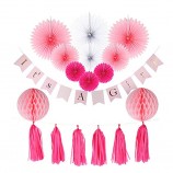 Decorazioni per baby shower per ragazza, è una ragazza banner, paperfans in tessuto