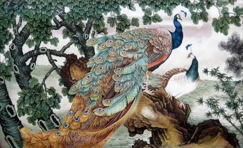 Arte de la pared del pavo real b162 que pinta el mural decorativo hermoso