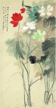 B112 여러 가지 빛깔의 연꽃 배경 벽 장식 물과 잉크 그림 zhang daqian
