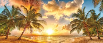 F001 zeezicht kokospalm super high definition achtergrond wanddecoratie inkt schilderij