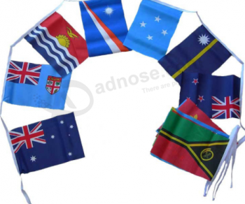 National Bunting Festival Party Decoration Bunting Flag with high quality and any size