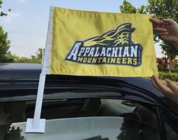 Double sides printed promotion car window flag with high quality and any size