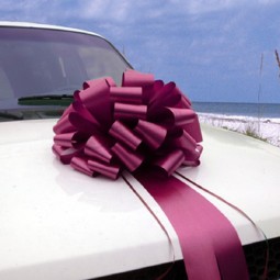 Decorazione auto con fiocco pom pom viola