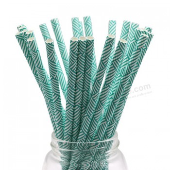 Outside drinking straw biodegradable FDA approved paper straw