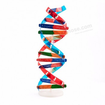 Modello di scienza dei giocattoli educativi del DNA per i bambini